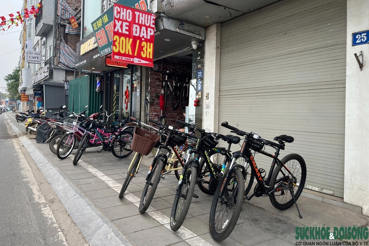 Kiếm tiền triệu mỗi ngày nhờ dịch vụ cho thuê xe đạp tại Hồ Tây- Ảnh 3. Kiếm tiền triệu mỗi ngày nhờ dịch vụ cho thuê xe đạp tại Hồ Tây- Ảnh 3.