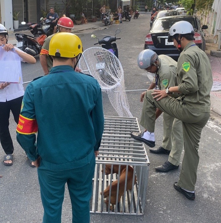 Chuyện về đội săn bắt chó thả rông- Ảnh 3.