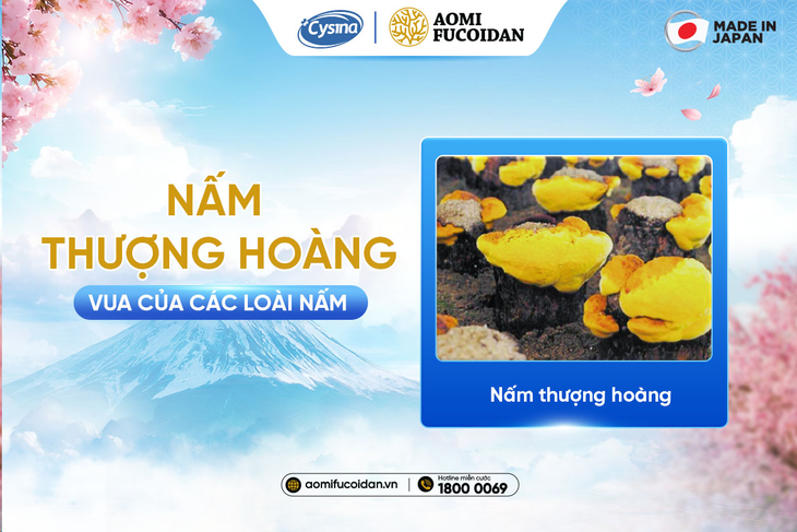 Cặp đôi hỗ trợ tăng cường sức khỏe từ thiên nhiên- Ảnh 2.