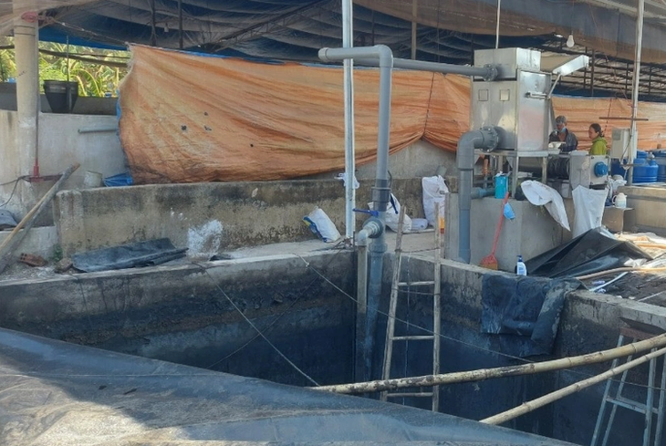 3 người tử vong trong trang trại chăn nuôi- Ảnh 1. 3 người tử vong trong trang trại chăn nuôi- Ảnh 1.