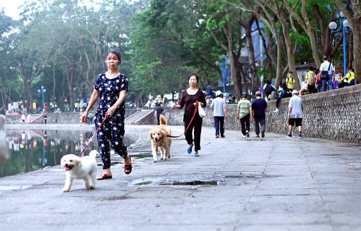 Nuôi chó, mèo phải đăng ký để quản lý phòng ngừa bệnh dại- Ảnh 2.