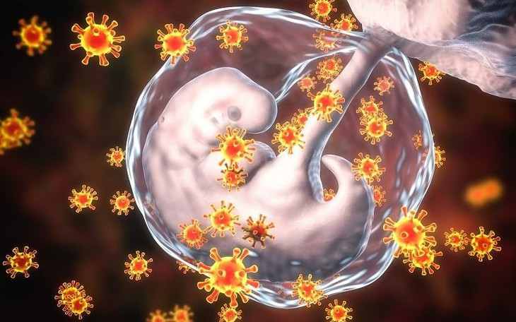 Rubella: Nguyên nhân, triệu chứng, đường lây truyền, cách điều trị và phòng bệnh
