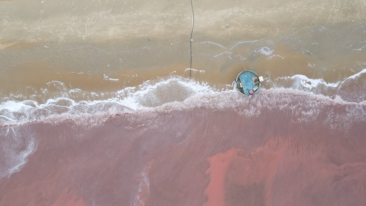 Đã tìm ra nguyên nhân khiến nước biển ở Hà Tĩnh chuyển màu đỏ- Ảnh 1.