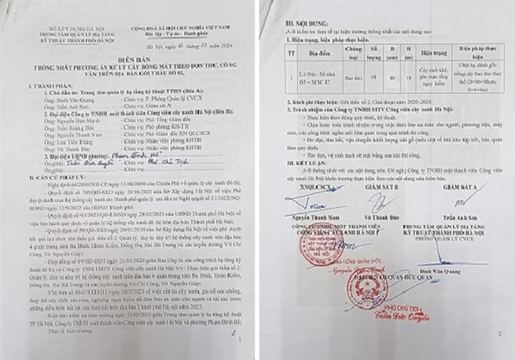 Vụ cây sao đen 100 tuổi ở Hà Nội bị đốn hạ: Đã rõ nguyên nhân - Ảnh 3.