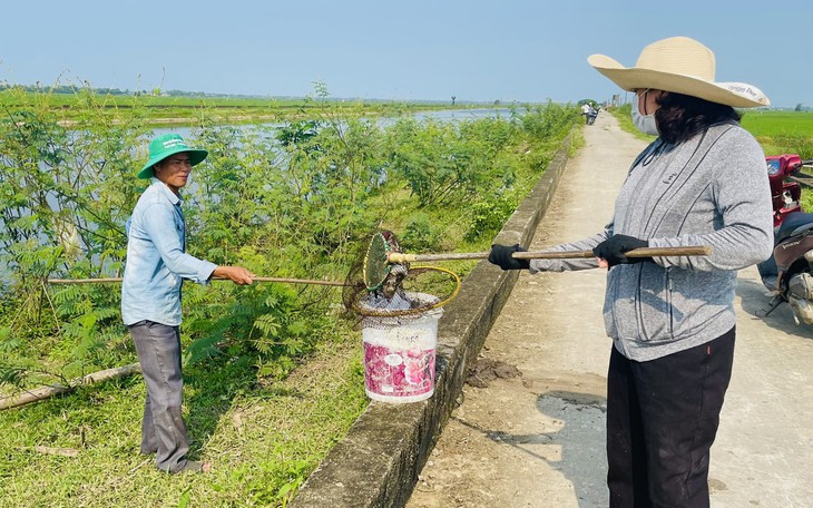 Cá trên sông Ô Giang liên tục chết không rõ nguyên nhân