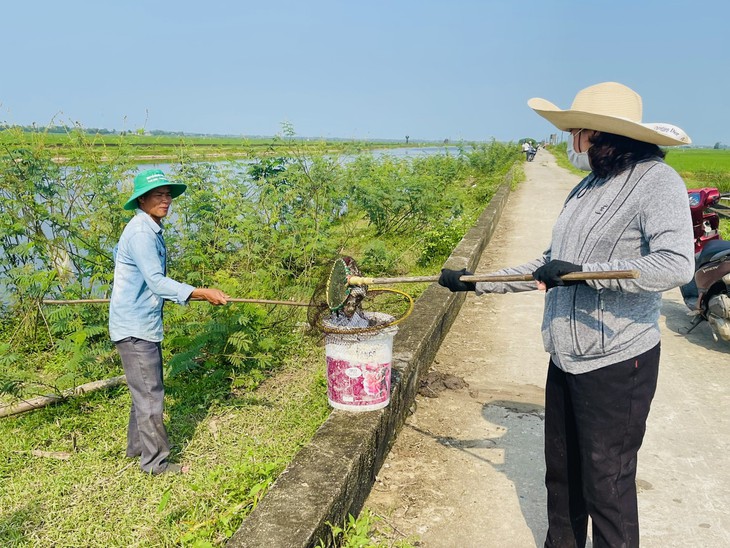 Cá trên sông Ô Giang liên tục chết không rõ nguyên nhân- Ảnh 3.