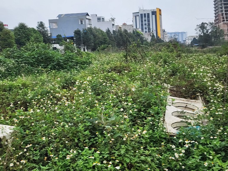 Hiện trạng dự án công viên hơn 600 tỷ đồng, nơi nam sinh lớp 7 bị đuối nước- Ảnh 4.