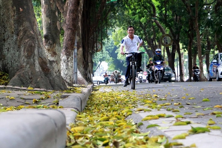 Chấm dứt 8 ngày rét đậm, Miền Bắc bắt đầu tăng nhiệt- Ảnh 2.