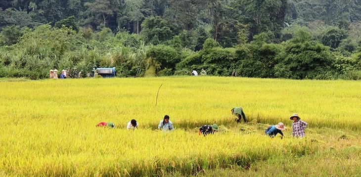 Chuyện của những người lính biên phòng với một trong những tộc người bí ẩn nhất thế giới- Ảnh 9.
