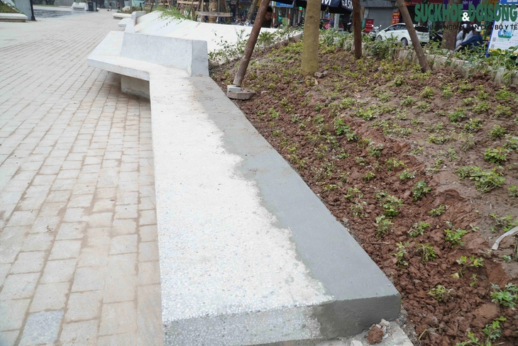 Chỉnh sửa lại các mảng 'bê tông hóa' ở vườn hoa Hàng Đậu - Ảnh 4. Chỉnh sửa lại các mảng 'bê tông hóa' ở vườn hoa Hàng Đậu - Ảnh 4.