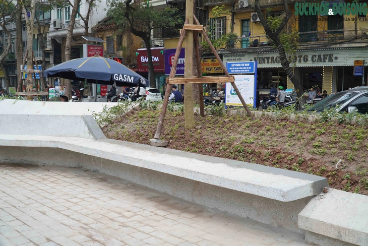 Chỉnh sửa lại các mảng 'bê tông hóa' ở vườn hoa Hàng Đậu - Ảnh 7. Chỉnh sửa lại các mảng 'bê tông hóa' ở vườn hoa Hàng Đậu - Ảnh 7.