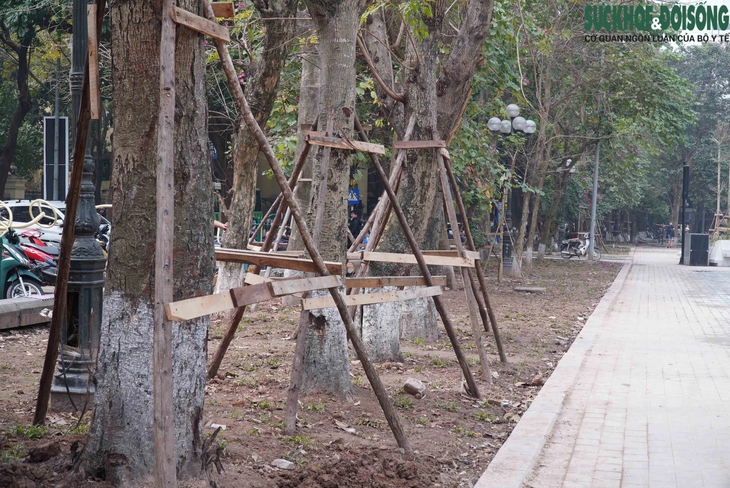 Chỉnh sửa lại các mảng 'bê tông hóa' ở vườn hoa Hàng Đậu - Ảnh 8. Chỉnh sửa lại các mảng 'bê tông hóa' ở vườn hoa Hàng Đậu - Ảnh 8.