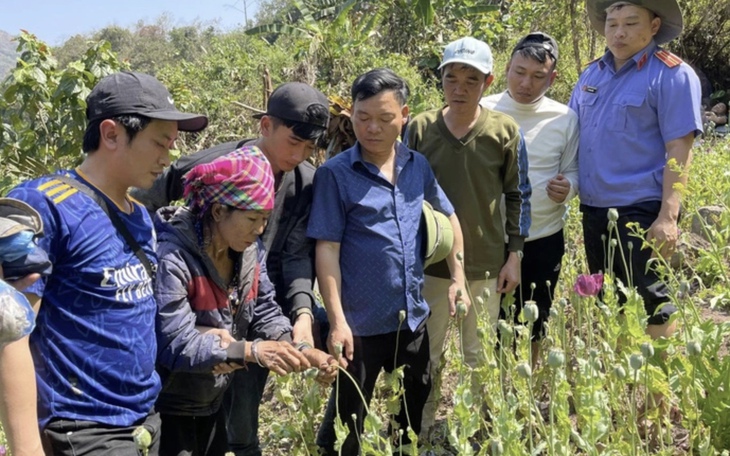 Người phụ nữ trồng hơn 3.200 cây thuốc phiện trong rừng