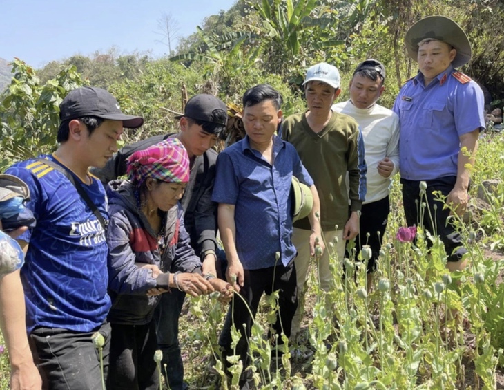 Người phụ nữ trồng hơn 3.200 cây thuốc phiện trong rừng- Ảnh 1. Người phụ nữ trồng hơn 3.200 cây thuốc phiện trong rừng- Ảnh 1.