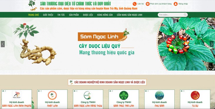 Đã có sàn thương mại điện tử cho sâm Ngọc Linh- Ảnh 2.