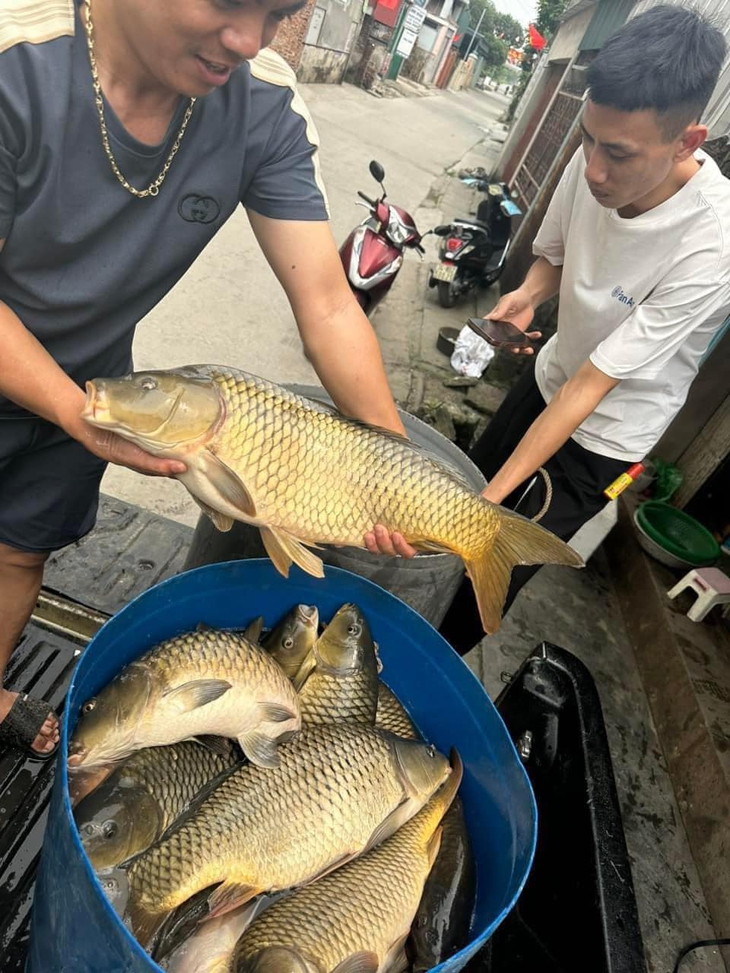 Cá chép giòn giảm 'tụt dốc' chỉ còn từ 16 nghìn đồng/kg, nguồn gốc từ đâu?- Ảnh 1.