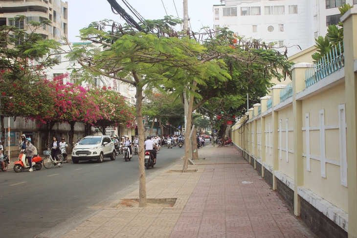 Sau hàng loạt vụ ngộ độc thực phẩm ở Nha Trang, không còn hàng rong trước cổng trường học- Ảnh 6. Sau hàng loạt vụ ngộ độc thực phẩm ở Nha Trang, không còn hàng rong trước cổng trường học- Ảnh 6.