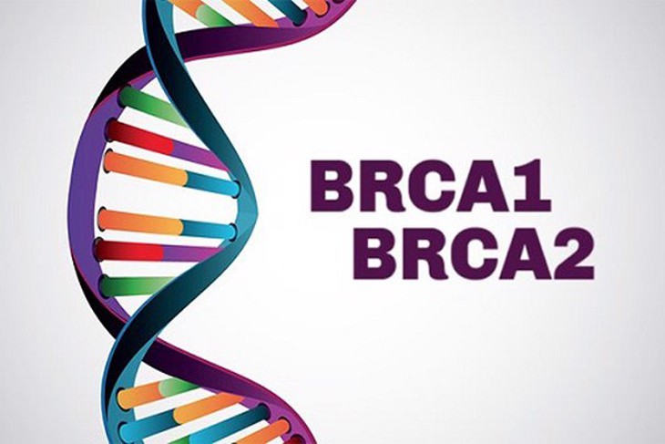 Xét nghiệm đột biến gen BRCA (BRCA1, BRCA2)được dùng cho những người có khả năng bị đột biến di truyền. Xét nghiệm đột biến gen BRCA (BRCA1, BRCA2)được dùng cho những người có khả năng bị đột biến di truyền.