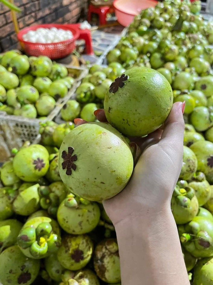 Người Hà Nội săn lùng măng cụt xanh làm 'gỏi gà bất bại', giá lên tới gần 1 triệu đồng/kg- Ảnh 1.