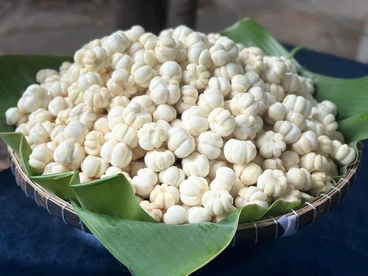 Người Hà Nội săn lùng măng cụt xanh làm 'gỏi gà bất bại', giá lên tới gần 1 triệu đồng/kg- Ảnh 2.