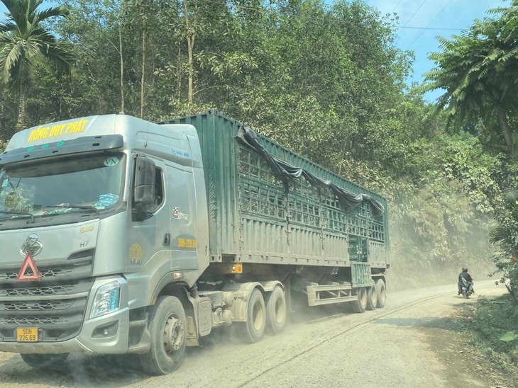 Quảng Nam đề nghị cấm xe tải trọng lớn do 'phá nát' Quốc lộ 14D- Ảnh 1. Quảng Nam đề nghị cấm xe tải trọng lớn do 'phá nát' Quốc lộ 14D- Ảnh 1.