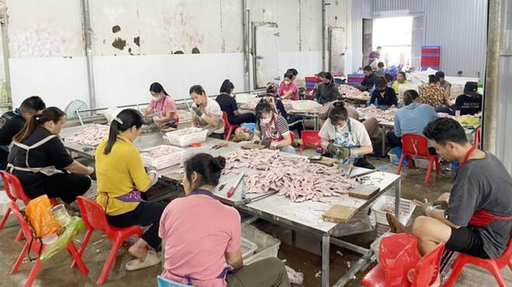 Quảng Ninh: Thu giữ 2 tấn chân vịt không rõ nguồn gốc 

- Ảnh 1.