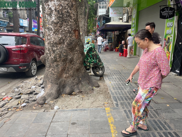 'Cởi trói' cho hàng cây sao đen trên phố Lò Đúc- Ảnh 4.