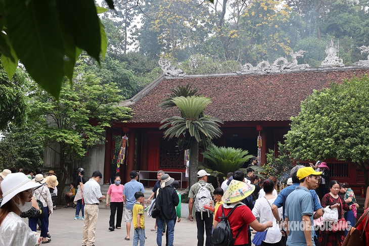 Chiêm ngưỡng ‘cụ cây’ vạn tuế - Báu vật xanh của Di tích lịch sử Đền Hùng- Ảnh 1. Chiêm ngưỡng ‘cụ cây’ vạn tuế - Báu vật xanh của Di tích lịch sử Đền Hùng- Ảnh 1.