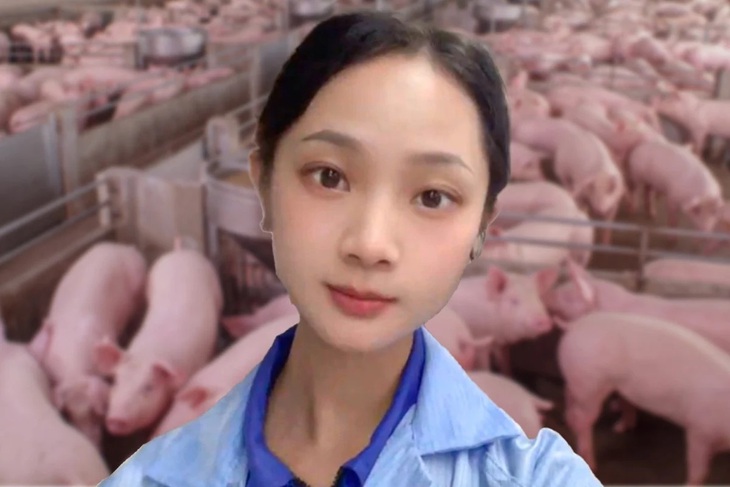 Cô gái trẻ Trung Quốc nổi tiếng sau khi bỏ việc văn phòng về nuôi lợn- Ảnh 1. Cô gái trẻ Trung Quốc nổi tiếng sau khi bỏ việc văn phòng về nuôi lợn- Ảnh 1.