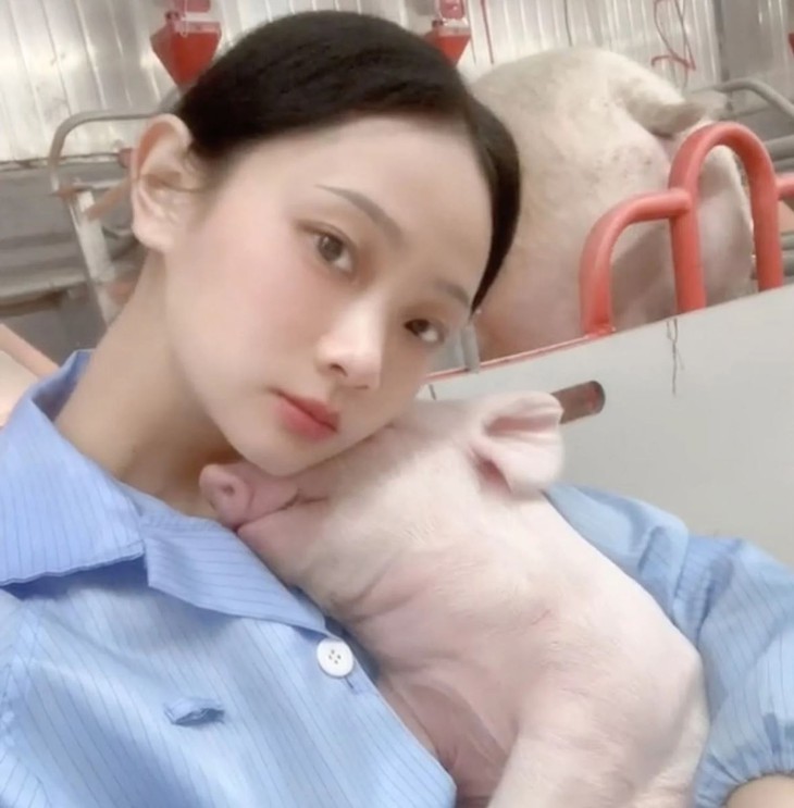 Cô gái trẻ Trung Quốc nổi tiếng sau khi bỏ việc văn phòng về nuôi lợn- Ảnh 2. Cô gái trẻ Trung Quốc nổi tiếng sau khi bỏ việc văn phòng về nuôi lợn- Ảnh 2.