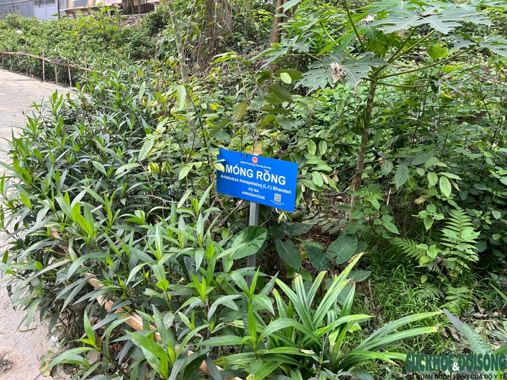 Cận cảnh công viên giữa lòng Thủ đô được cải tạo từ... bãi rác- Ảnh 10.
