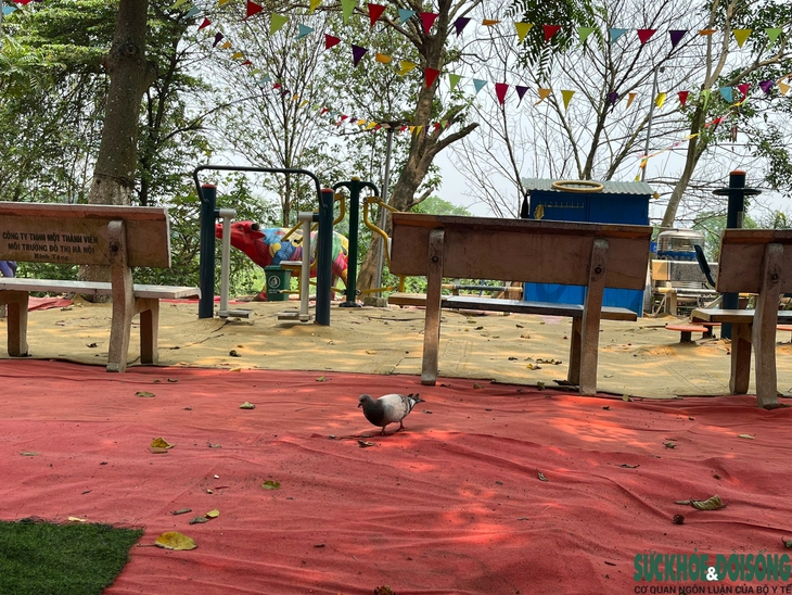 Cận cảnh công viên giữa lòng Thủ đô được cải tạo từ... bãi rác- Ảnh 11.