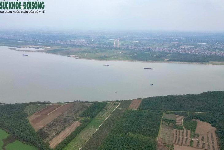 Lý do cầu gần 10.000 tỷ đồng sắp khởi công vẫn chưa thể giải phóng mặt bằng?- Ảnh 2.