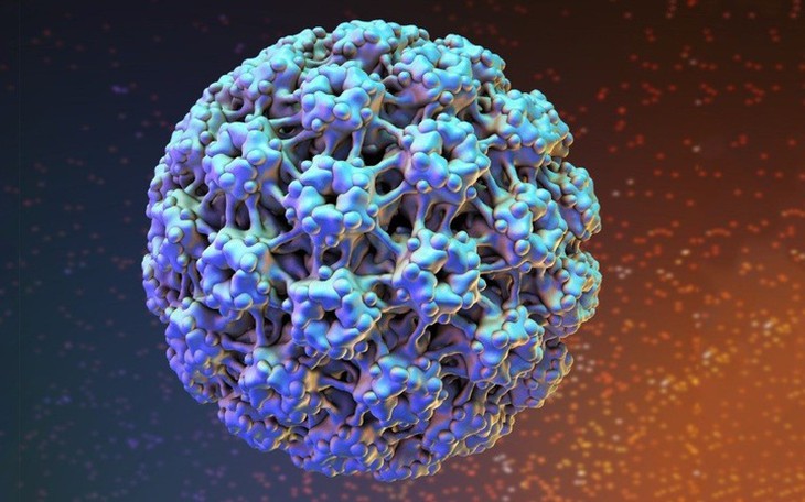 Nghi ngờ nhiễm HPV cần làm gì?- Ảnh 1.