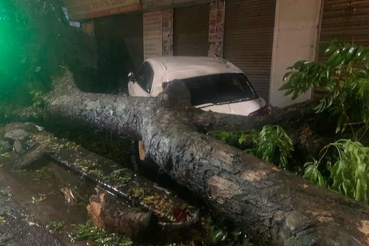 Hà Nội xuyên đêm khắc phục hậu quả mưa dông lớn- Ảnh 1.