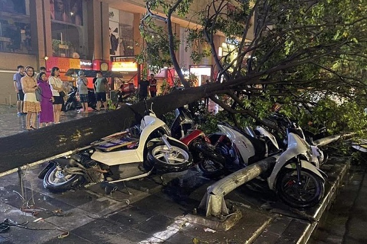 Hà Nội xuyên đêm khắc phục hậu quả mưa dông lớn- Ảnh 3.