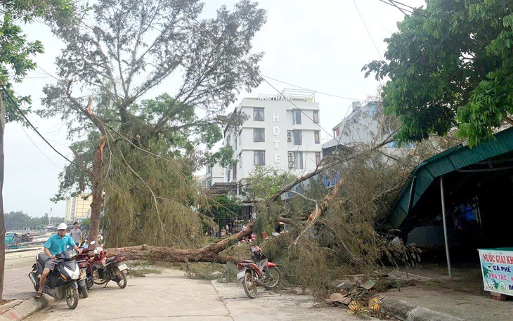 Dông lốc nhấn chìm 8 tàu thuyền ở đảo Cô Tô