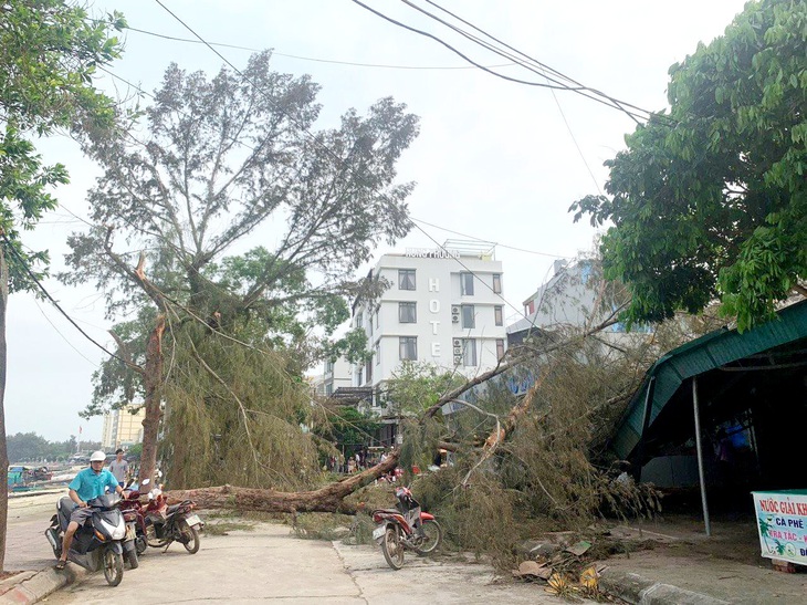 Dông lốc nhấn chìm 8 tàu thuyền ở đảo Cô Tô- Ảnh 2.