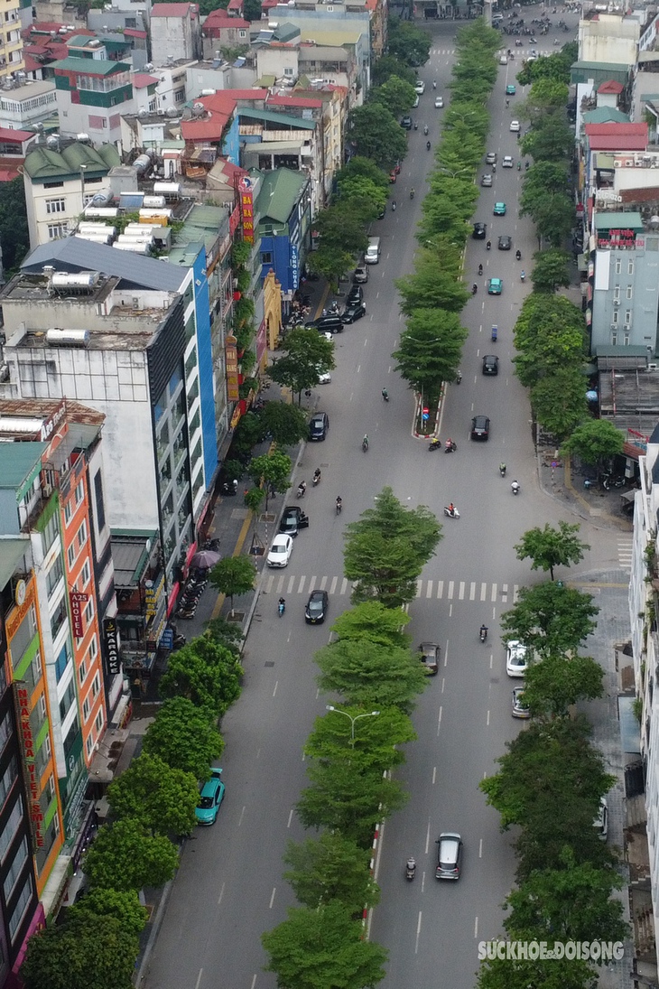 Nhiều cây xanh rễ lộ thiên, nguy cơ đổ gục trong mùa mưa bão- Ảnh 1.