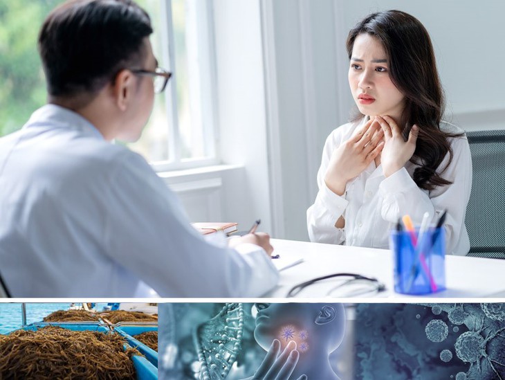 Tác dụng của Fucoidan trong hỗ trợ người bệnh tuyến giáp- Ảnh 2.