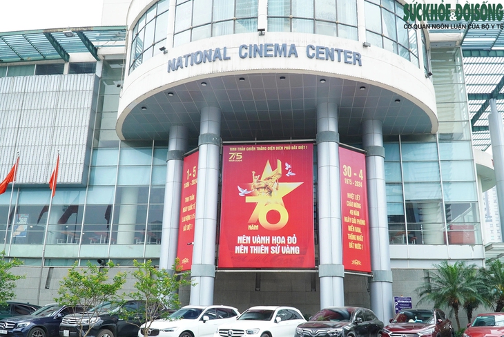 Chung cư ở Hà Nội đồng loạt treo cờ chào mừng Đại lễ- Ảnh 10.