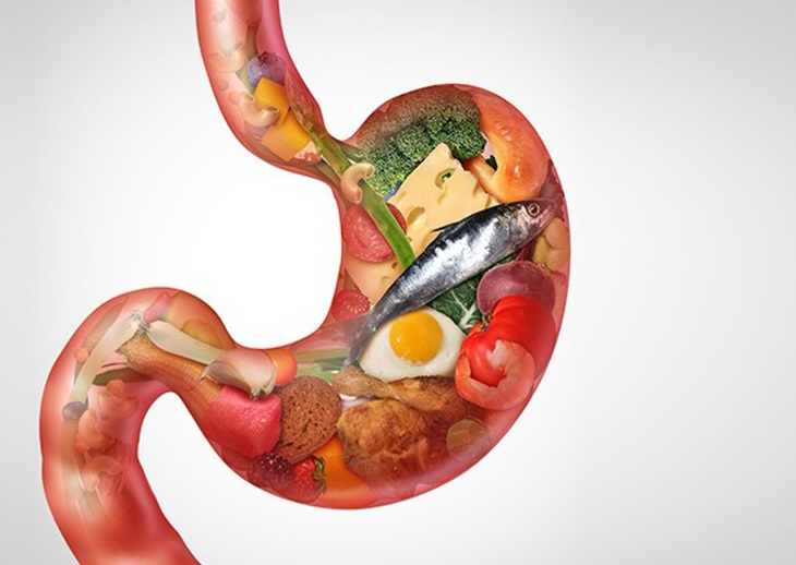 Vì sao cơ thể cần enzyme để tiêu hóa thức ăn?- Ảnh 1.