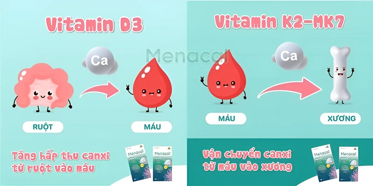 Giải pháp bổ sung canxi cho mẹ bầu- Ảnh 2.