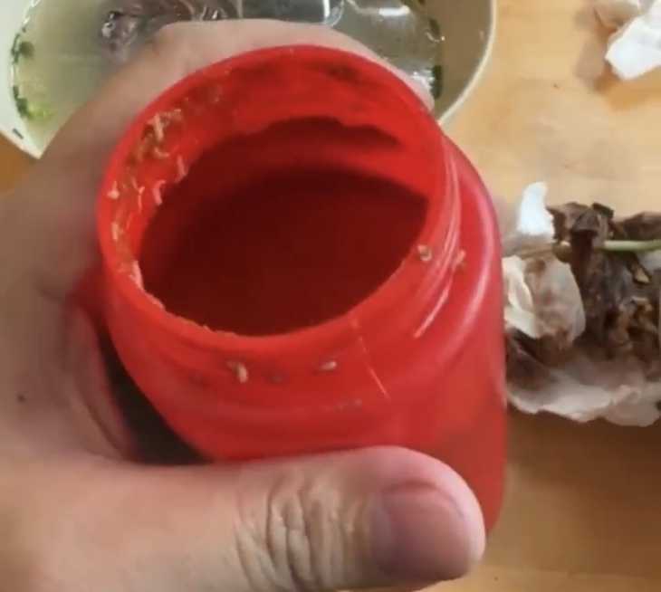 Khách hàng tố Thế giới Ngan có giòi trong lọ tương ớt- Ảnh 2. Khách hàng tố Thế giới Ngan có giòi trong lọ tương ớt- Ảnh 2.