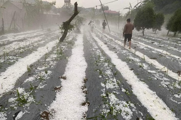 Chuyên gia lý giải nguyên nhân nhiều cơn mưa đá trắng trời những ngày qua- Ảnh 2. Chuyên gia lý giải nguyên nhân nhiều cơn mưa đá trắng trời những ngày qua- Ảnh 2.