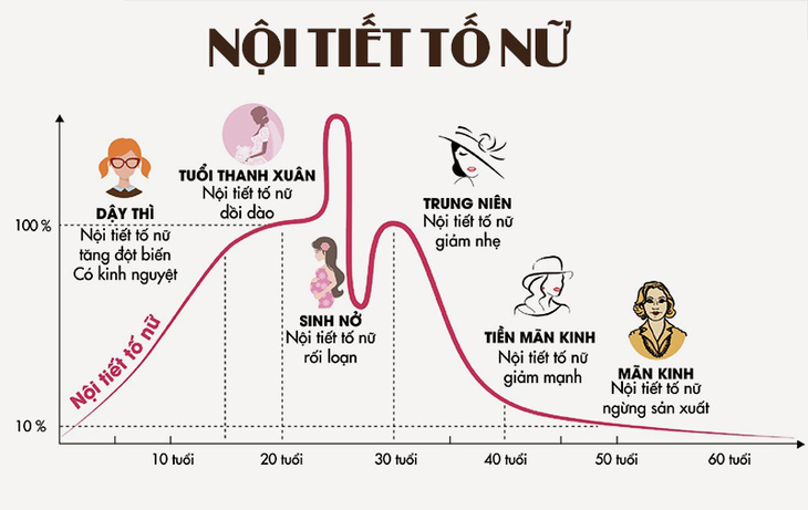 Hệ thống nội tiết làm nhiệm vụ sản xuất ra các hormon. Hệ thống nội tiết làm nhiệm vụ sản xuất ra các hormon.