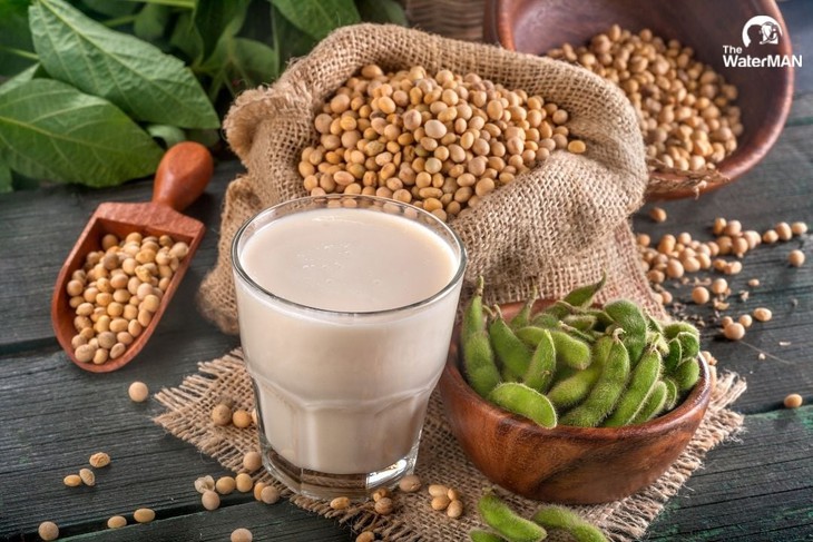 Đậu nành có ảnh hưởng đến sức khỏe tình dục của nam giới không?- Ảnh 3. Đậu nành có ảnh hưởng đến sức khỏe tình dục của nam giới không?- Ảnh 3.