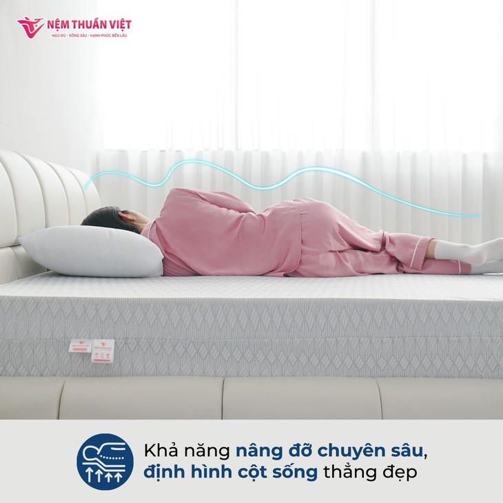 BST 3 dòng nệm foam bán chạy của Nệm Thuần Việt- Ảnh 2. BST 3 dòng nệm foam bán chạy của Nệm Thuần Việt- Ảnh 2.