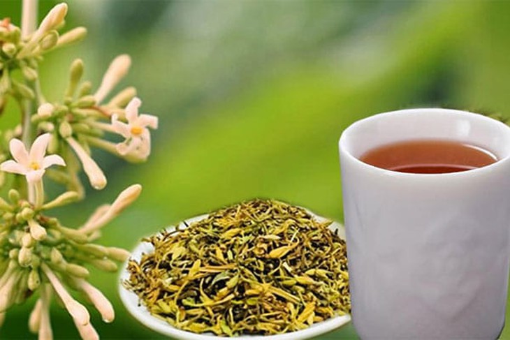 Ai không được uống hoa đu đủ đực ngâm mật ong?- Ảnh 1. Ai không được uống hoa đu đủ đực ngâm mật ong?- Ảnh 1.