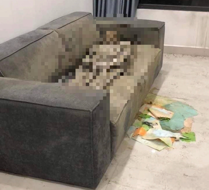 Điều tra thi thể nữ giới 'chết khô' trên sofa trong căn hộ cao cấp- Ảnh 1.